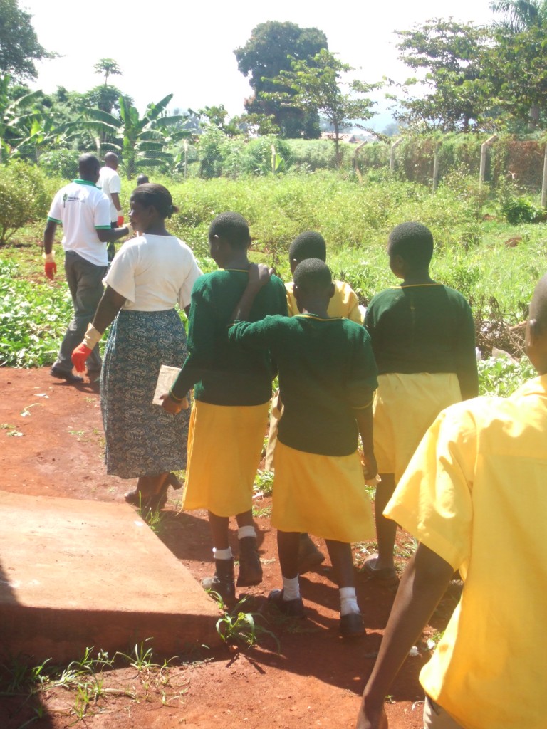 Going to plant trees