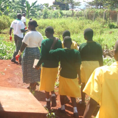 Going to plant trees Going to plant trees