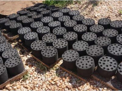 Lots of honeycomb briquettes lined up