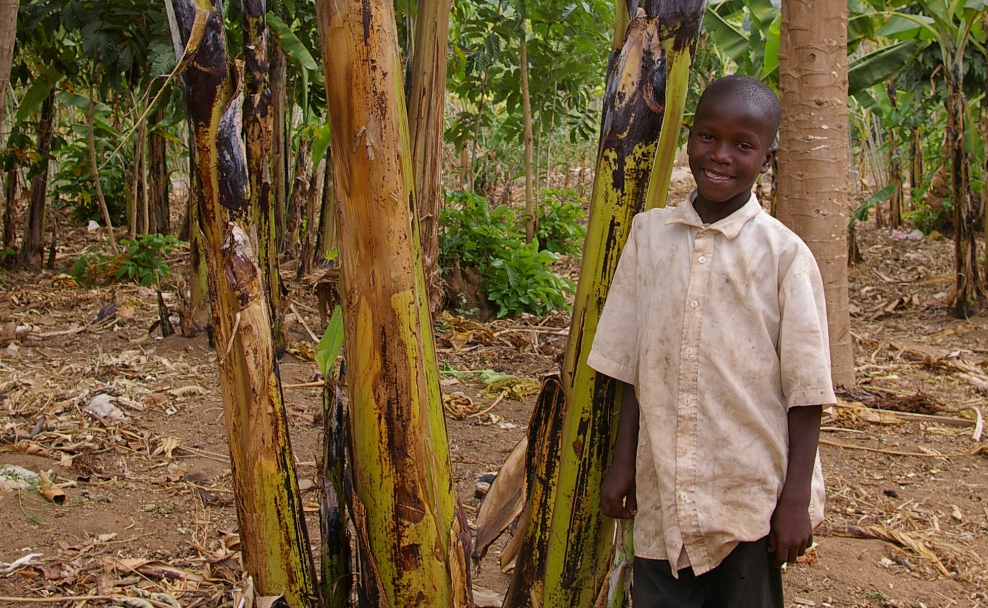 boy smiling in a banana tree forest