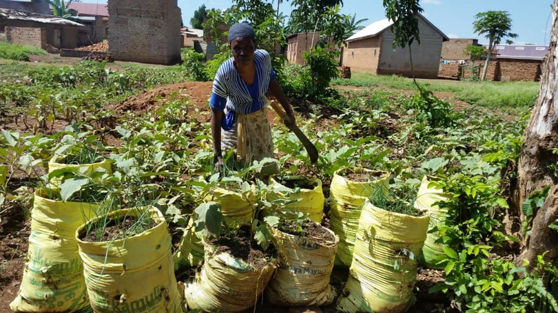 woman gardening