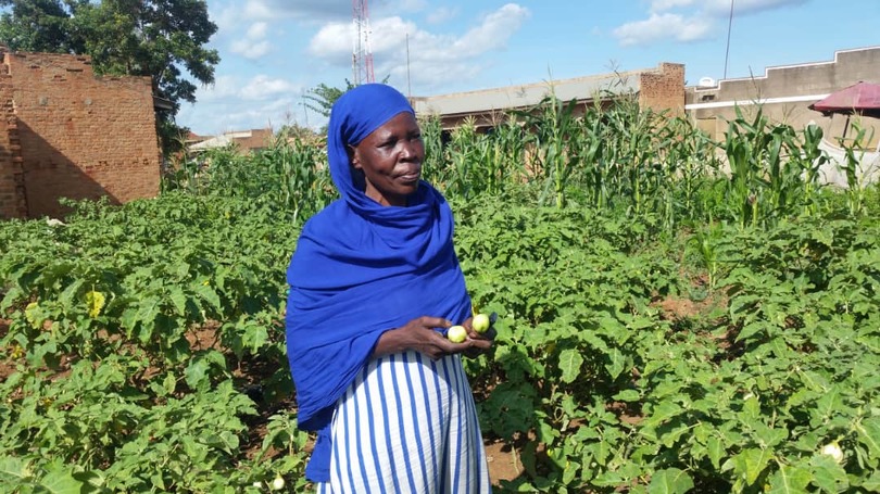 a woman surrounded by crops
