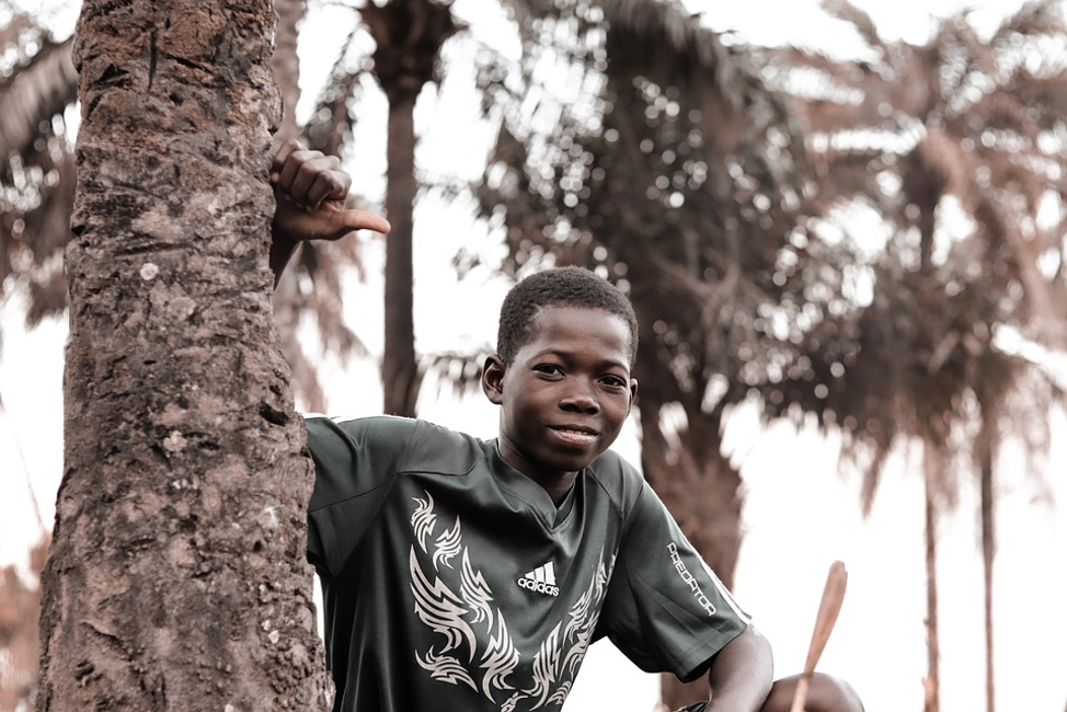 a boy sat in a tree