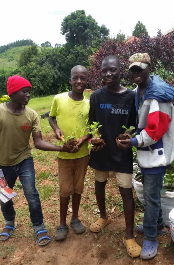 boys holding saplings