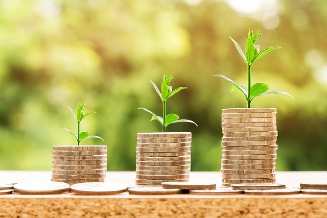 Stock images of shoots growing from money