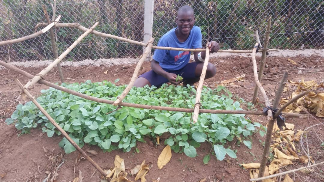 A boy by a vegetable patch