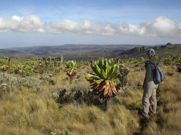 A woman in front of traditional plants and fauna of Uganda