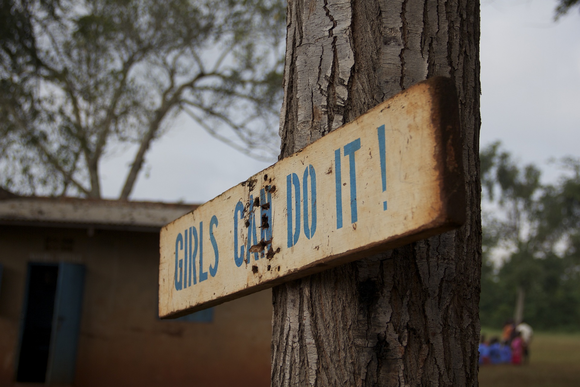 A sign nailed to a tree horizontally reads 'Girls can do it'.