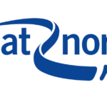 Great North Run logo