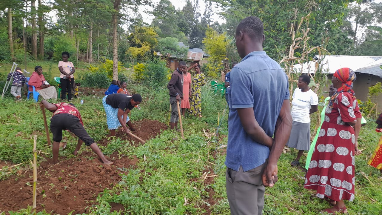 SALVE's permaculture teacher, Joshua, is overseeing a small group of people planting in the ground