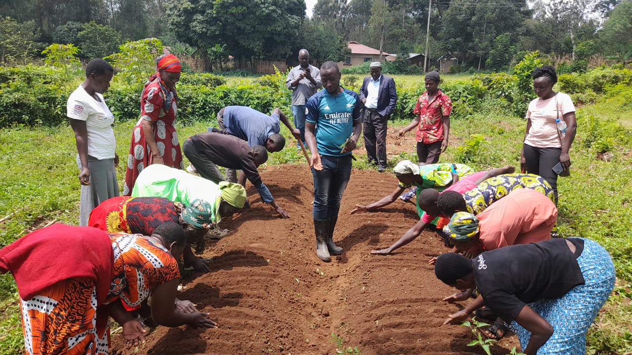 Joshua, the Permaculture teacher at SALVE, is walking between two rows of people who are planting seeds in the ground.