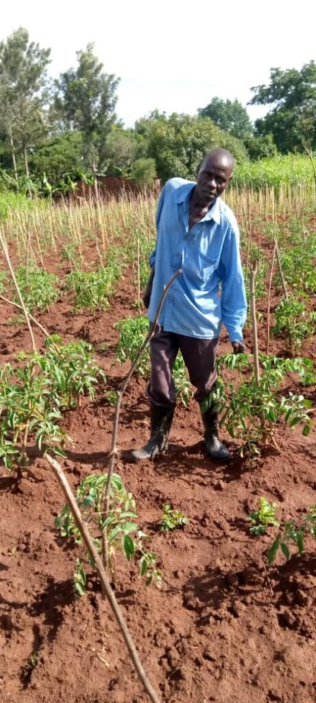 A man standing amongst his crops