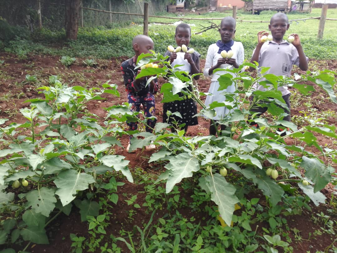 Four children smiling and holding up a crop of green tomatoes